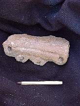 MVC713F.JPG