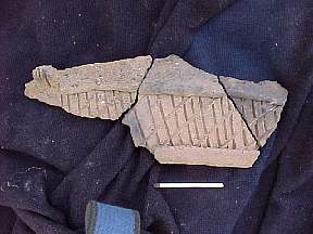 MVC752F.JPG