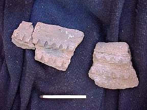 MVC753F.JPG