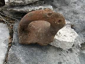 eCIMG1521.jpg