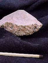 MVC728F.JPG