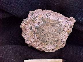 MVC730F.JPG