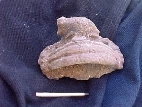 MVC740F.JPG