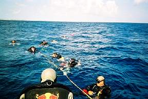 r6.jpg